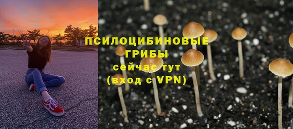 бошки Покровск