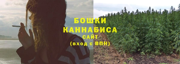 каннабис Алзамай